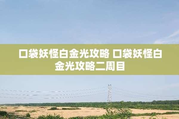 口袋妖怪白金光攻略 口袋妖怪白金光攻略二周目