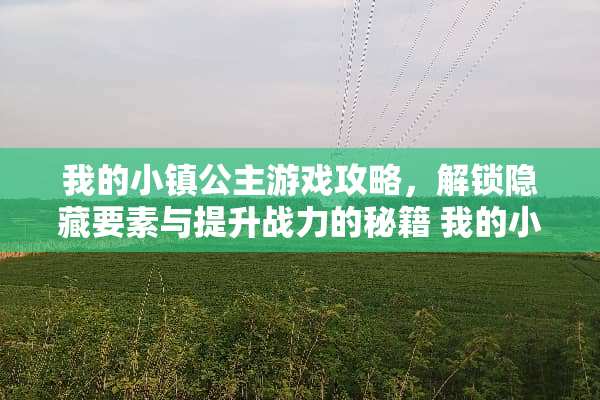 我的小镇公主游戏攻略，解锁隐藏要素与提升战力的秘籍 我的小镇公主游戏攻略