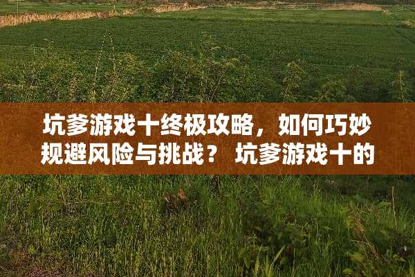 坑爹游戏十终极攻略，如何巧妙规避风险与挑战？ 坑爹游戏十的攻略