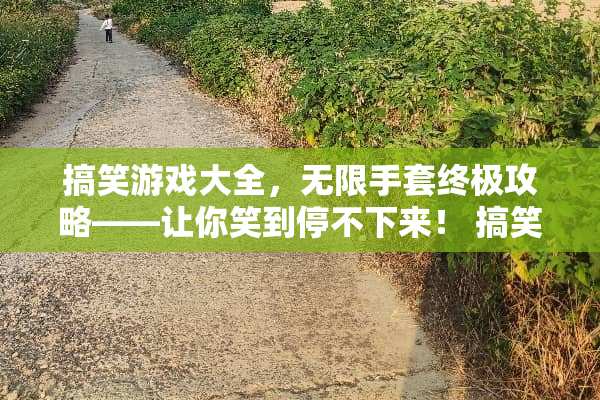 搞笑游戏大全，无限手套终极攻略——让你笑到停不下来！ 搞笑游戏无限手套攻略