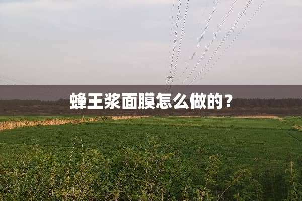 蜂王浆面膜怎么做的？