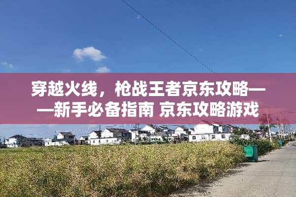 穿越火线，*战王者京东攻略——新手必备指南 京东攻略游戏