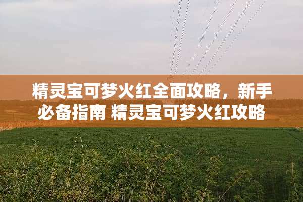 精灵宝可梦火红全面攻略，新手必备指南 精灵宝可梦火红攻略
