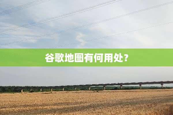 谷歌地图有何用处？