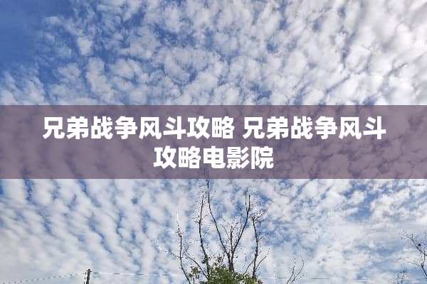 兄弟战争风斗攻略 兄弟战争风斗攻略电影院