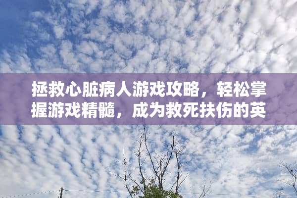 拯救心脏病人游戏攻略，轻松掌握游戏精髓，成为救死扶伤的英雄！ 拯救心脏病人游戏攻略