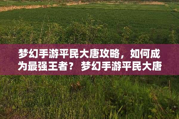 梦幻手游平民大唐攻略，如何成为最强王者？ 梦幻手游平民大唐攻略
