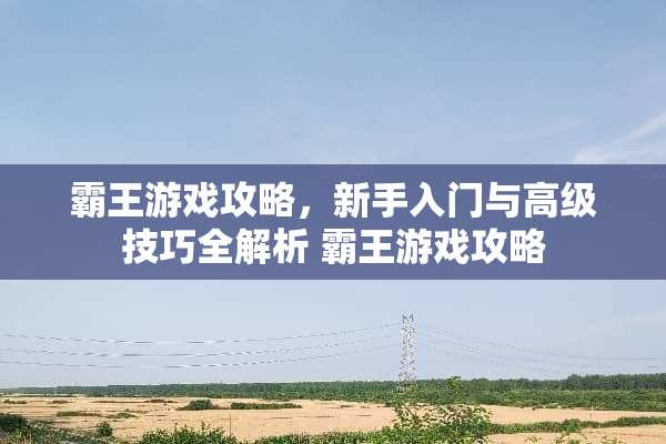 **游戏攻略，新手入门与高级技巧全解析 **游戏攻略