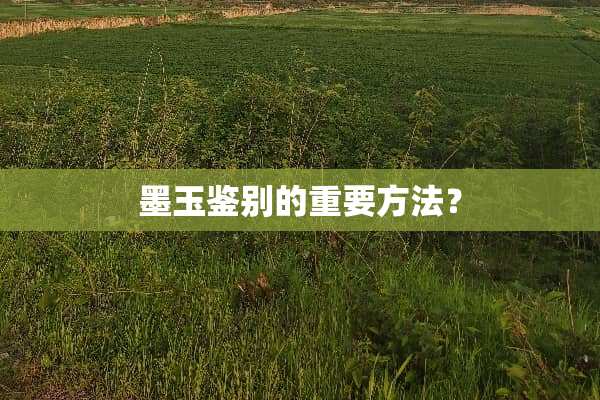墨玉鉴别的重要方法？