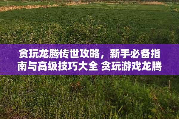 贪玩龙腾传世攻略，新手必备指南与高级技巧大全 贪玩游戏龙腾传世攻略