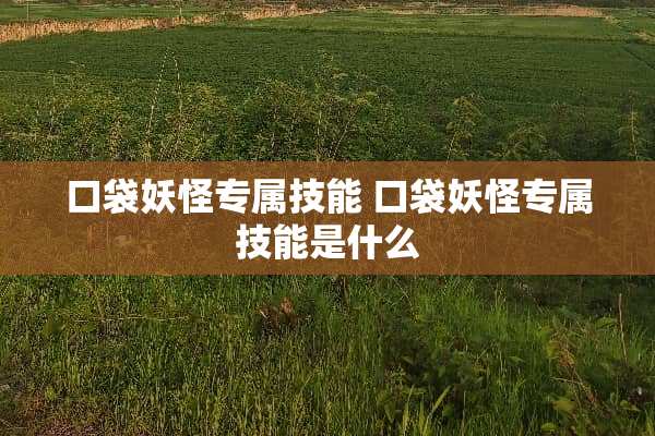 口袋妖怪专属技能 口袋妖怪专属技能是什么