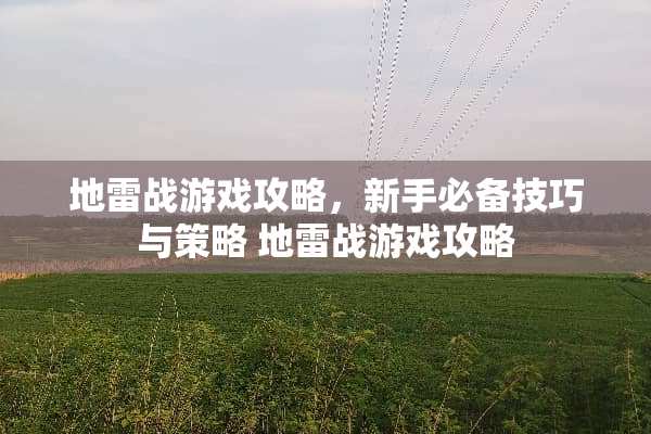 地雷战游戏攻略，新手必备技巧与策略 地雷战游戏攻略
