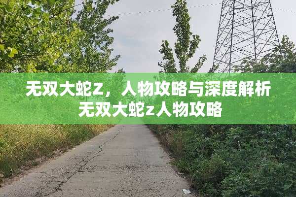 无双大蛇Z，人物攻略与深度解析 无双大蛇z人物攻略