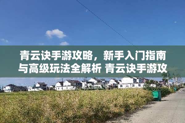 青云诀手游攻略，新手入门指南与高级玩法全解析 青云诀手游攻略