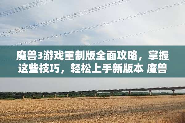魔兽3游戏重制版全面攻略，掌握这些技巧，轻松上手新版本 魔兽3游戏重制版攻略