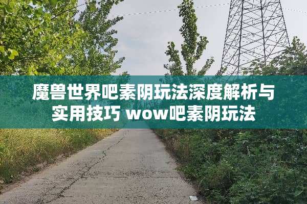 魔兽世界吧素*玩法深度解析与实用技巧 wow吧素*玩法
