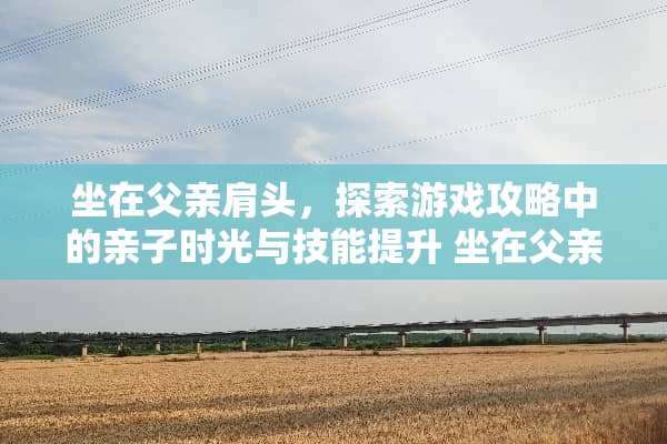 坐在父亲肩头，探索游戏攻略中的亲子时光与技能提升 坐在父亲肩头游戏攻略