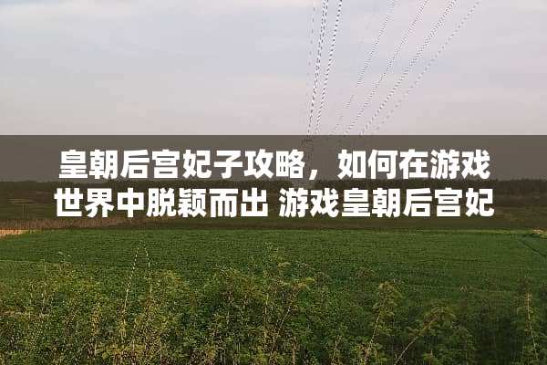 皇朝后宫妃子攻略，如何在游戏世界中脱颖而出 游戏皇朝后宫妃子攻略