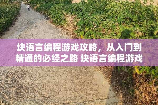 块语言编程游戏攻略，从入门到精通的必经之路 块语言编程游戏攻略