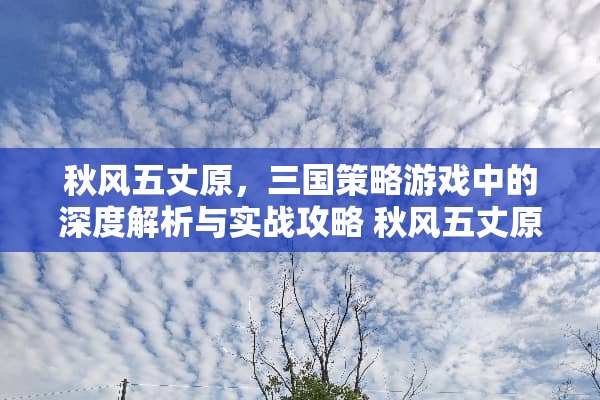 秋风五丈原，三国策略游戏中的深度解析与实战攻略 秋风五丈原攻略