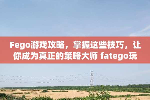 Fego游戏攻略，掌握这些技巧，让你成为真正的策略大师 fatego玩法