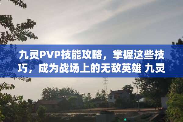 九灵PVP技能攻略，掌握这些技巧，成为战场上的无敌英雄 九灵pvp技能