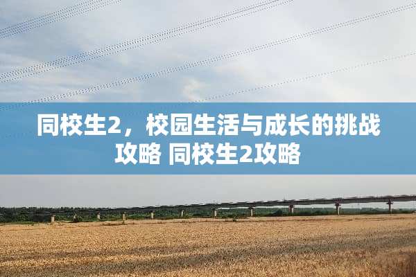 同校生2，校园生活与成长的挑战攻略 同校生2攻略