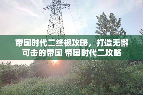 帝国时代二终极攻略，打造无懈可击的帝国 帝国时代二攻略