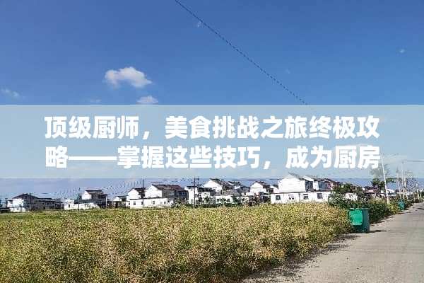 **厨师，美食挑战之旅终极攻略——掌握这些技巧，成为厨房霸主！ **厨师游戏攻略