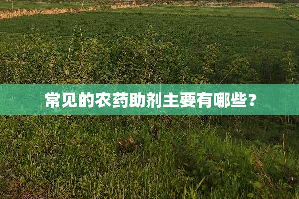 常见的农药助剂主要有哪些？