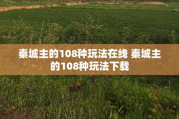 秦城主的108种玩法在线 秦城主的108种玩法下载