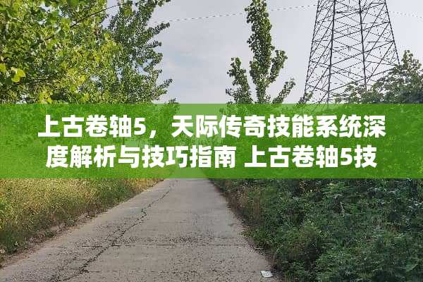 上古卷轴5，天际传奇技能系统深度解析与技巧指南 上古卷轴5技能传奇