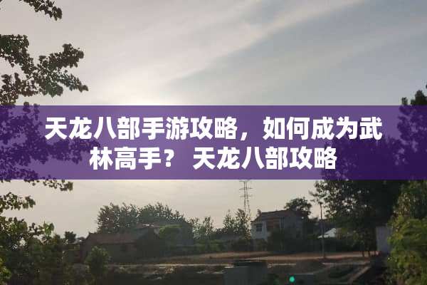 天龙八部手游攻略，如何成为武林高手？ 天龙八部攻略