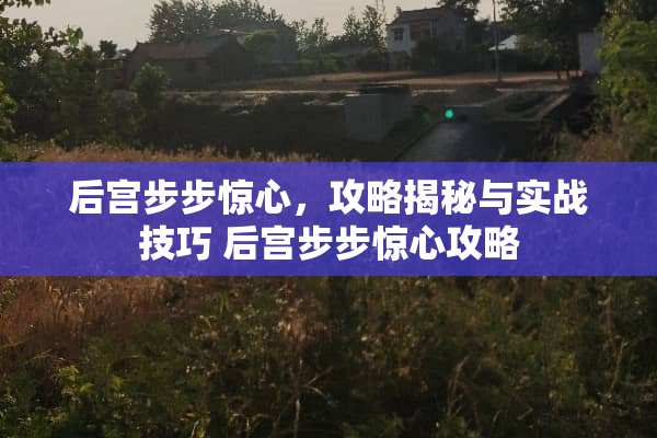 后宫步步惊心，攻略揭秘与实战技巧 后宫步步惊心攻略