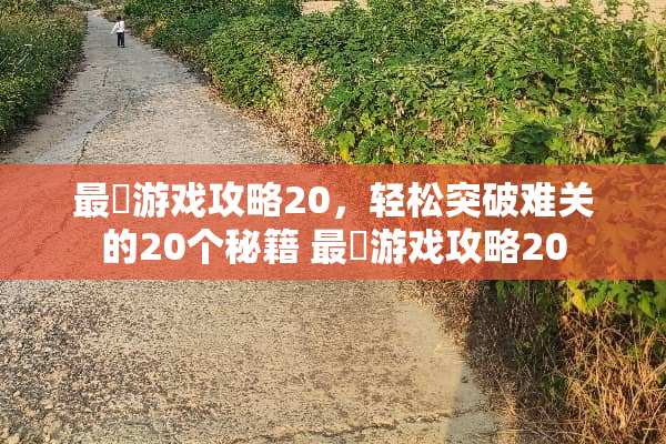 最囧游戏攻略20，轻松突破难关的20个秘籍 最囧游戏攻略20