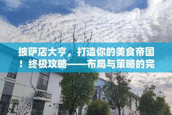 披萨店大亨，打造你的美食帝国！终极攻略——布局与策略的完美结合 披萨店游戏攻略摆放