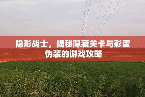 **战士，揭秘隐藏关卡与彩蛋 伪装的游戏攻略