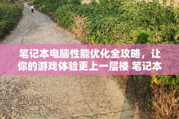 笔记本电脑性能优化全攻略，让你的游戏体验更上一层楼 笔记本电脑攻略