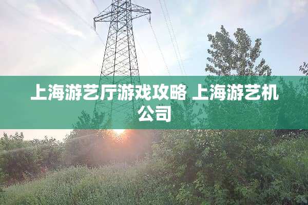 上海游艺厅游戏攻略 上海游艺机公司