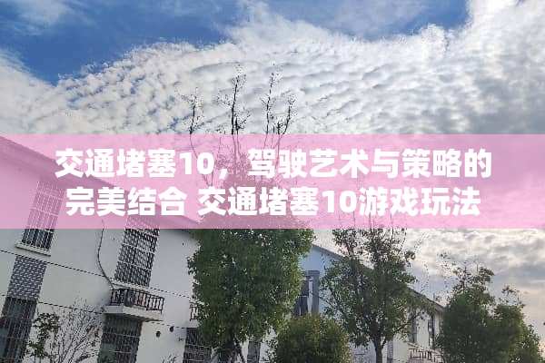 交通堵塞10，驾驶艺术与策略的完美结合 交通堵塞10游戏玩法