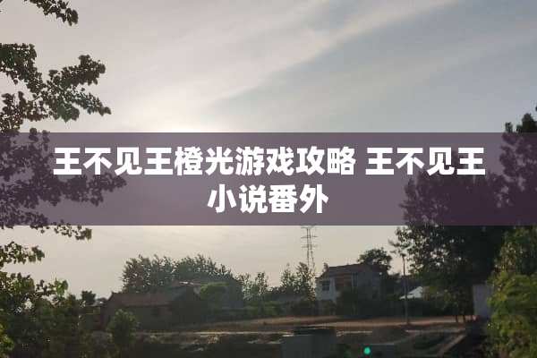 王不见王橙光游戏攻略 王不见王小说番外