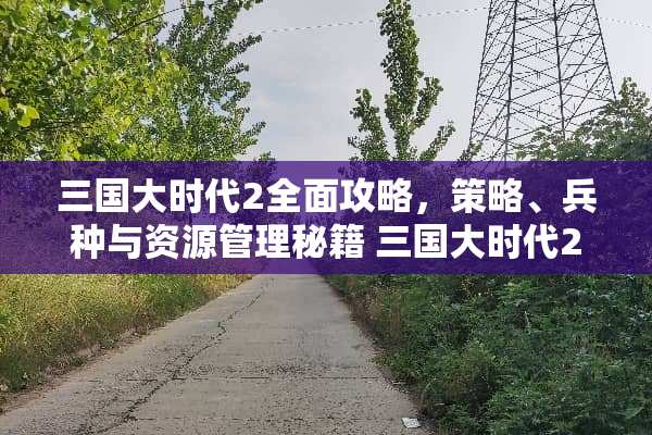三国大时代2全面攻略，策略、兵种与资源管理秘籍 三国大时代2攻略