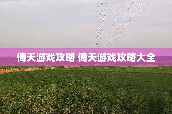 倚天游戏攻略 倚天游戏攻略大全