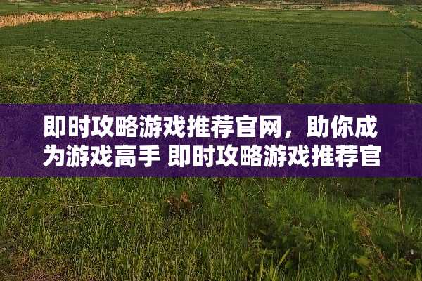 即时攻略游戏推荐官网，助你成为游戏高手 即时攻略游戏推荐官网