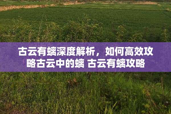 古云有螭深度解析，如何高效攻略古云中的螭 古云有螭攻略