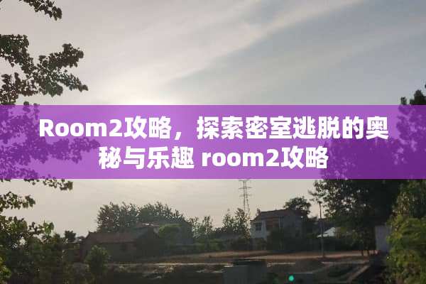 Room2攻略，探索密室逃脱的奥秘与乐趣 room2攻略