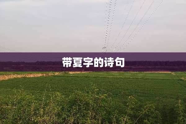 带夏字的诗句
