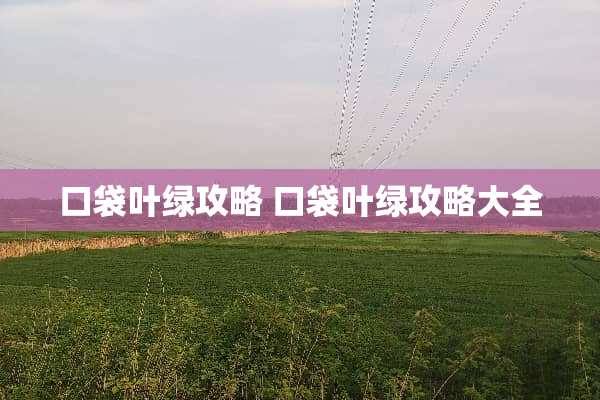口袋叶绿攻略 口袋叶绿攻略大全
