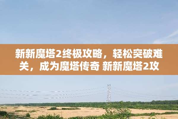 新新魔塔2终极攻略，轻松突破难关，成为魔塔传奇 新新魔塔2攻略