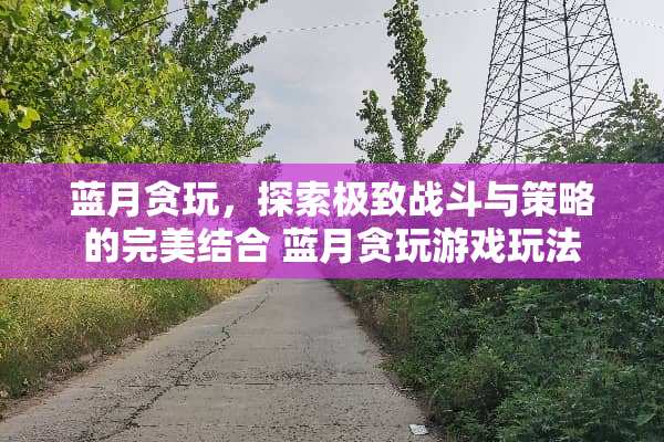 蓝月贪玩，探索极致战斗与策略的完美结合 蓝月贪玩游戏玩法